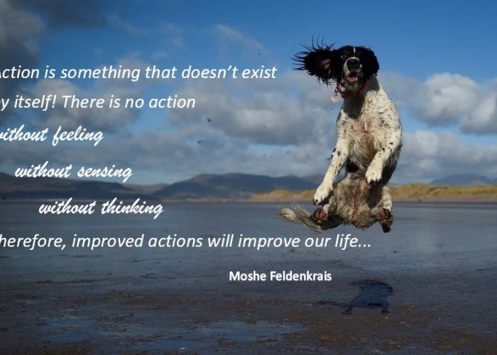Aulas Grupais de Consciência Através do Movimento, Método Feldenkrais