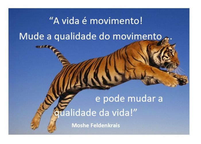 AULAS Feldenkrais Online: Consciência Através do Movimento